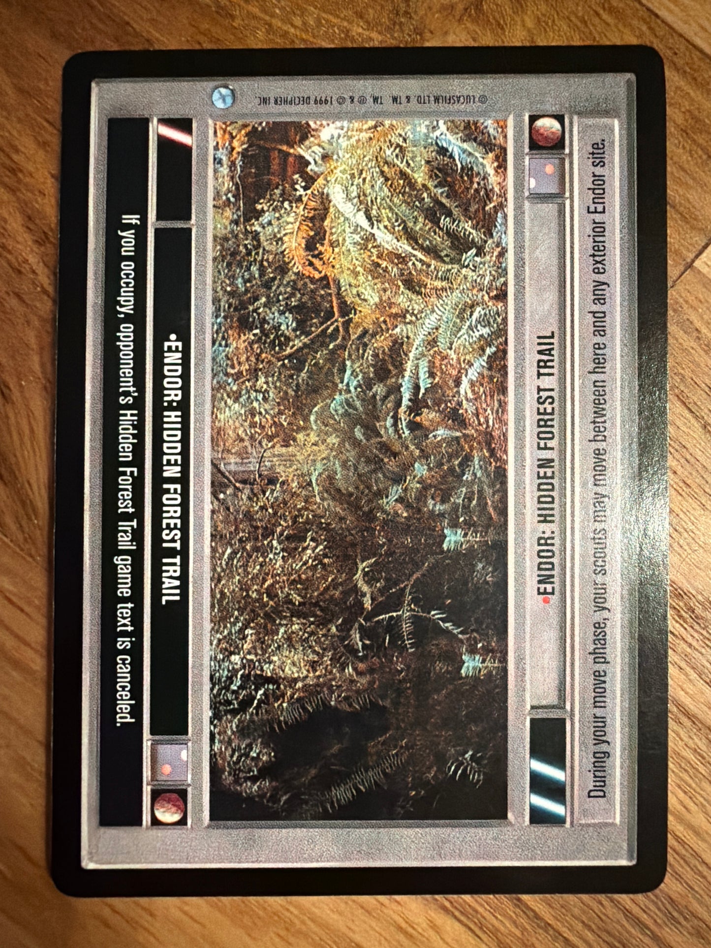 Endor: Hidden Forest Trail